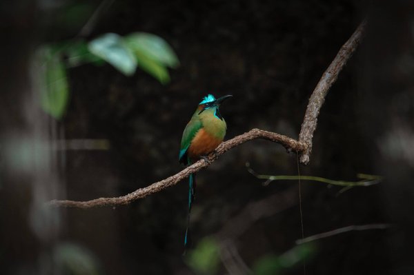 Quel pays a l'arme la plus puissante ?